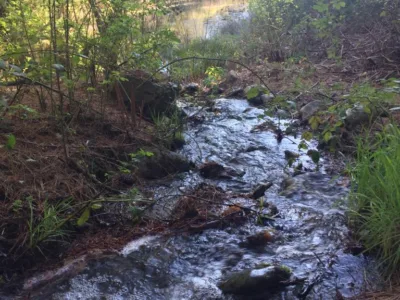Casa en El Bolsón, Río Negro