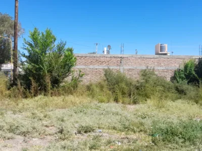 Terreno en Gob. Castello, Villa Regina, Río Negro