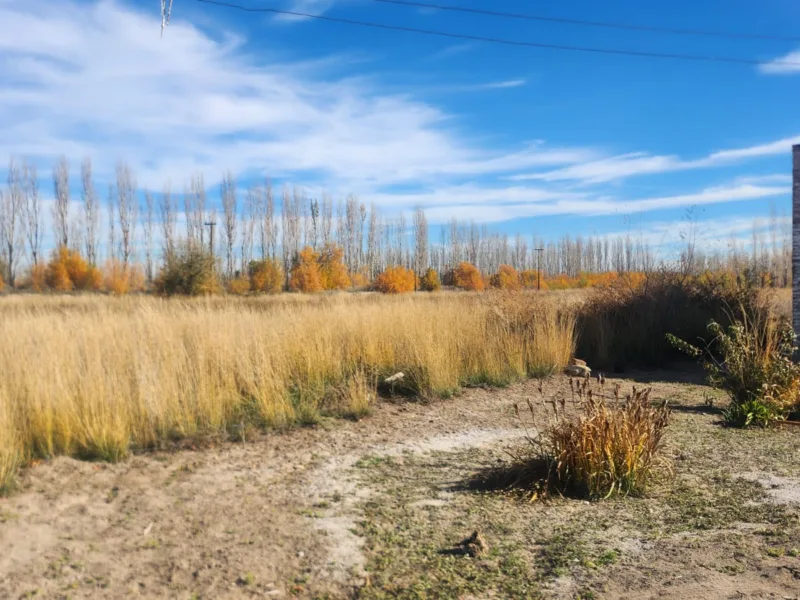 Chacra en Cervantes