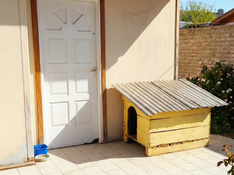 Casa en Venta en Villa Regina – Yapeyú Sur 354