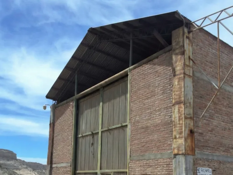 Propiedad Industrial en Venta en Villa Regina – Bartolo Luis Pasín 120