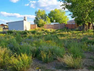 Terreno en Venta en Senillosa – Calle La Pampa