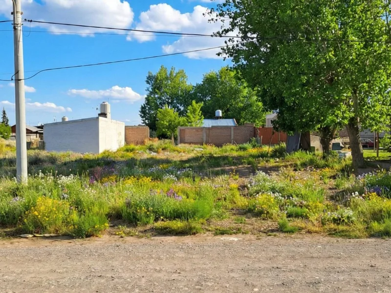 Terreno en Venta en Senillosa – Calle La Pampa